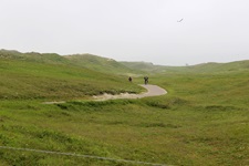 Zwei Radler durchfahren eine sattgrüne Wiesenlandschaft in Nordholland.