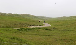 Zwei Radler durchfahren eine sattgrüne Wiesenlandschaft in Nordholland.