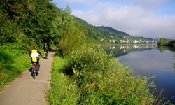 Blick auf den geteerten Radweg mit Radlern links neben der Mosel