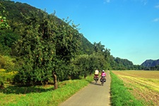 Der geteerte Rhein-Radweg zwischen Andernach und Bonn mit Bäumen auf der linken Seite und weitläufigen Feldern auf der rechten Seite, auf dem zwei Radfahrer fahren