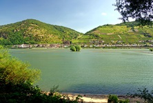 Der Rhein-Radweg mit Blick nach Rüdesheim und seinen Weinbergen