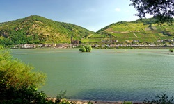 Der Rhein-Radweg mit Blick nach Rüdesheim und seinen Weinbergen