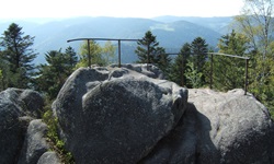 Auf dem Rappenfelsen bei Triberg.
