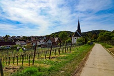 Die idyllisch gelegene, von Weinbergen eingerahmte Kirche von Rechtenbach.