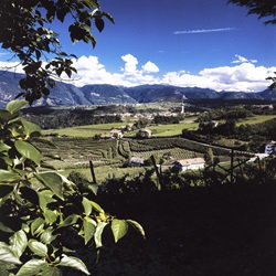 Herrlicher Panoramablick über die malerische Landschaft Südtirols mit ihren imposanten Bergen, Weinterrassen und idyllisch gelegenen Dörfern.