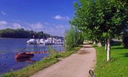 Uferpromenade des Rheins bei Eltville mit einem Fahrrad im Vordergrund und einer Anlegestelle für Boote im Hintergrund