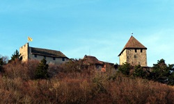 Blick auf eine Burg beim Rhein-Radweg