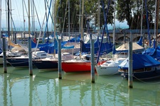 Blick auf einen Hafen am Rhein mit angelegten Booten