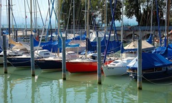 Blick auf einen Hafen am Rhein mit angelegten Booten