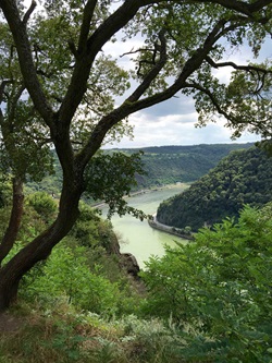 Blick von einem Aussichtspunkt auf den Rhein