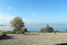 Kieselsteine am Ufer des Bodensees
