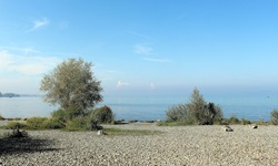 Kieselsteine am Ufer des Bodensees