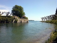 Blick auf den Rhein am Rhein-Radweg