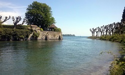 Blick auf den Rhein am Rhein-Radweg