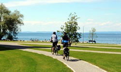 Zwei Radfahrer radeln am Bodensee entlang des Rhein-Radwegs
