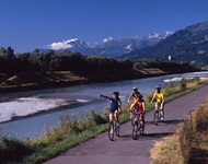 Vier Radfahrer radeln auf der Schweizer Rhein-Route vor wunderschöner Bergkulisse am Rheinufer entlang.