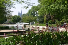 Der Rhein-Park in Köln und im Hintergrund der Kölner Dom