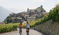 Ein Mann und eine Frau radeln auf dem Rhone-Radweg zwischen Weinreben hindurch und lassen den Ort Saillon hinter sich.