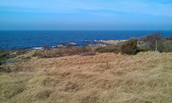 Felsenküste der Insel Bornholm