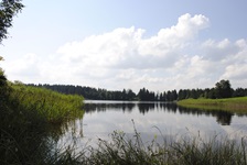 Der Forggensee mit Blick zum angrenzenden Wald und den Ufern auf der linken und rechten Seite