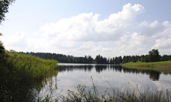 Der Forggensee mit Blick zum angrenzenden Wald und den Ufern auf der linken und rechten Seite