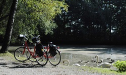 Zwei abgestellte Räder an einem Weiher, in dem zwei Schwäne und einige Enten baden
