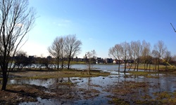 Eine mit Bäumen durchsetzte Seenlandschaft zwischen Arcen und Uiterwaarden.