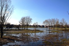 Eine Seenlandschaft mit Bäumen zwischen Arcen und Uitwaarden im niederländischen "Nationaal Park de Maasduinen".