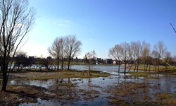 Eine Seenlandschaft mit Bäumen zwischen Arcen und Uitwaarden im niederländischen "Nationaal Park de Maasduinen".
