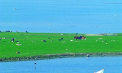 Blick über die Landschaft von Dänemark, auf dem Meer sind Boote zu sehen