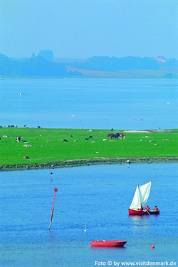 Blick über die Landschaft von Dänemark, auf dem Meer sind Boote zu sehen