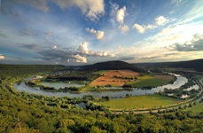 Blick auf die Donauschlinge