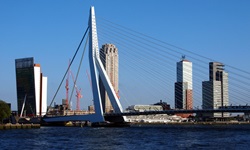Die Erasmusbrücke, eine gigantische Schrägseilbrücke, in Rotterdam, die über die Nieuwe Maas führt