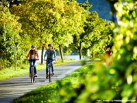 Ein Radfahrerpärchen ist auf dem Mosel-Radweg unterwegs.