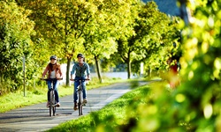 Zwei Radler auf einem herrlichen, von Bäumen eingerahmten Abschnitt des Mosel-Radwegs.