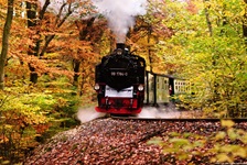 Der Dampfzug Rasender Roland in einem herbstlich verfärbten Laubwald auf der Insel Rügen.