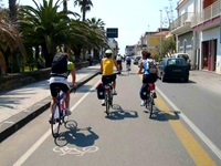 Eine Radlergruppe fährt auf Sizilien an einer von Palmen gesäumten Hauptstraße entlang.