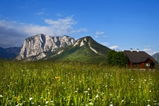 Eine blühende Wiese vor einem Bergmassiv und einem Bauernhaus bei Altaussee.