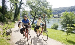 Vier Radler - drei Frauen und ein Mann - fahren auf einem asphaltierten Radweg am Ufer des Mattsees entlang.
