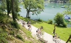 Eine Gruppe von sechs Radlern fährt auf einem asphaltierten Radweg am Mattsee entlang.