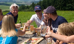 Touristen genießen ein Picknick im Salzkammergut und prosten sich zu