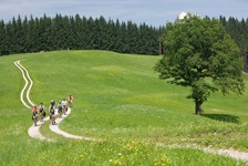 Sieben Radler fahren auf einem weiß geschotterten Weg durch blühende Wiesen im Salzkammergut.
