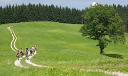 Eine Radlergruppe fährt auf einem geschotterten Feldweg an Wiesen im Salzkammergut vorbei