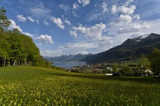 Blick auf den Ort St. Gilgen mit seinem Hausberg dem Schafberg