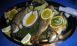Drei ganze Fische sind zusammen mit Zitronen- und Orangenscheiben sowie einer halben Kokosnuss an Bord der San Snova appetitlich auf einer Servierplatte angerichtet.