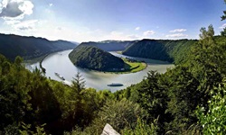Die Schlögener Donauschlinge vom Aussichtspunkt Schlögener Donaublick aus gesehen.