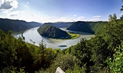 Die Schlögener Schlinge vom Aussichtspunkt Schlögener Donaublick aus betrachtet.