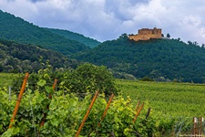 Das geschichtsträchtige Schloss Hambach erhebt sich über sattgrünen Weingärten.