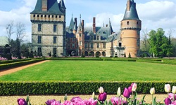 Pink blühende Tulpen vor dem majestätischen Schloss Maintenon.