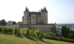 Blick auf das Schloss Saumur mit Weinreben